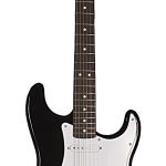 Bruce Springsteen Guitar