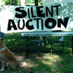 Fundraising Items For Auction