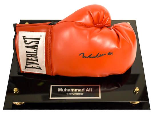 Charity Auction Items - Autographed Championship Boxing Gloves