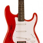 Silent Auction Ideas Pearl Jam Autographed Guitar