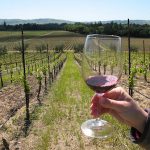 Sonoma Valley Winemaker