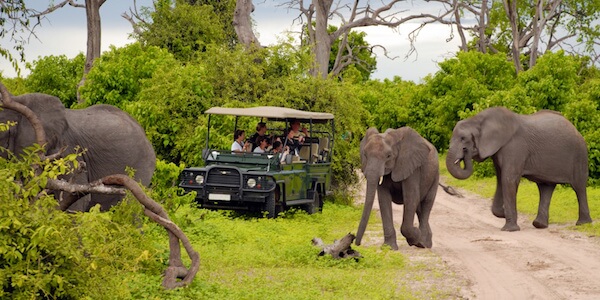 Charity Auction Items - VIP Experiences & Vacation Packages -South African Safari