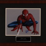 Silent-Auction-Items-Stan-Lee-Spiderman