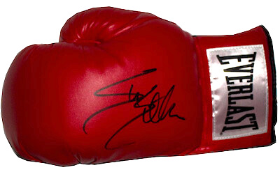 Charity Auction Items - Autographed Championship Boxing Gloves - Sylvester Stallone Glove